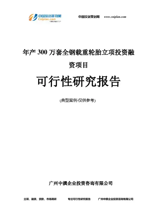 年产300万套全钢载重轮胎融资投资立项项目可行性研究报告(非常详细)