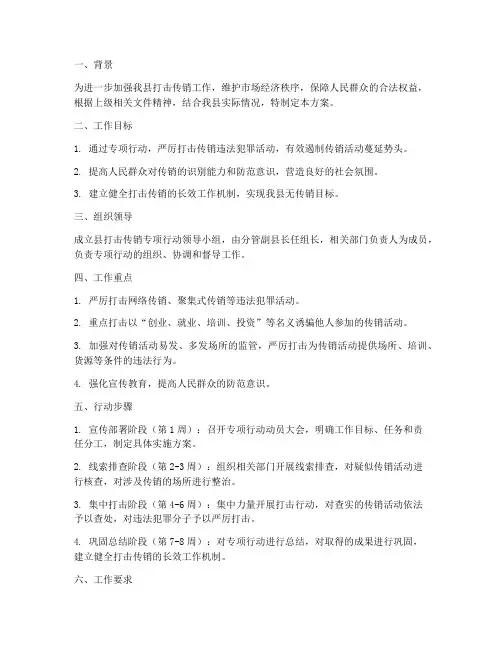 县打击传销专项行动方案