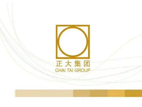 正大集团简介_final优化