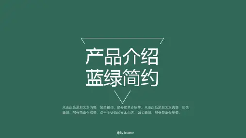 简洁大方产品介绍PPT模板 (2)