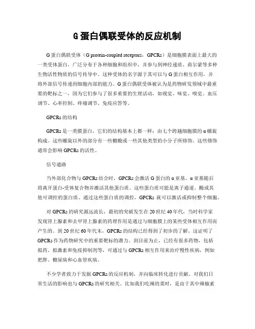 G蛋白偶联受体的反应机制