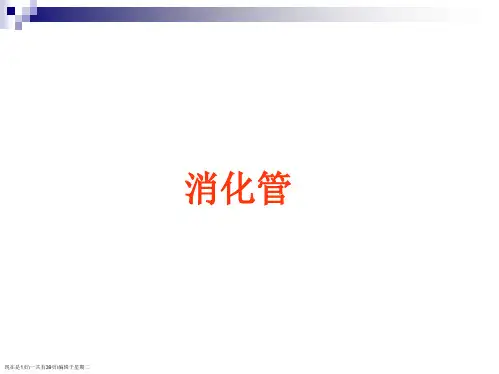 组织学与胚胎学切片图