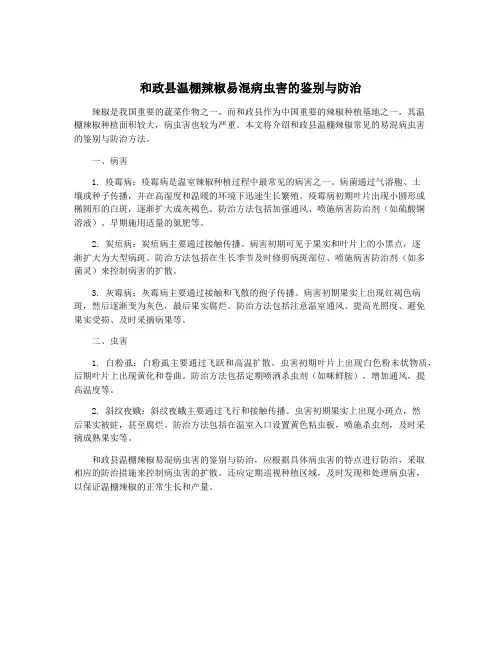 和政县温棚辣椒易混病虫害的鉴别与防治