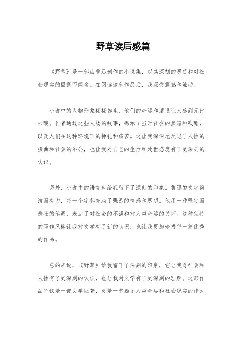 野草读后感篇