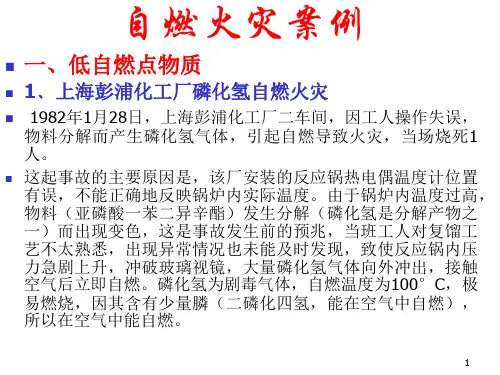 自燃火灾案例