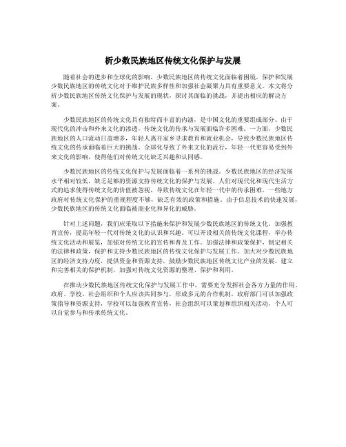 析少数民族地区传统文化保护与发展