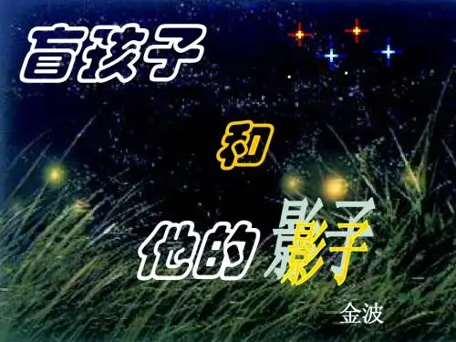 盲孩子和他的影子(zi)