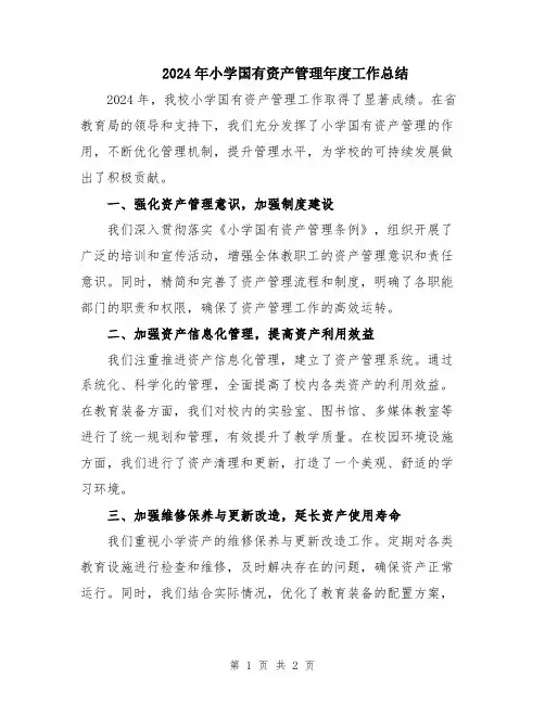 2024年小学国有资产管理年度工作总结