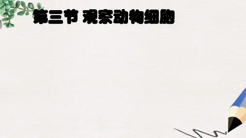 新人教版七年级生物上册第二单元第一章第三节动物细胞课件