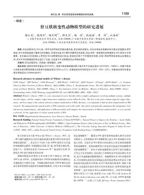 肝豆状核变性动物模型的研究进展