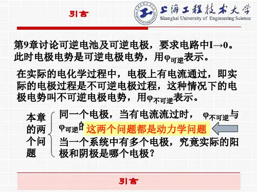 第十章 电解与极化作用