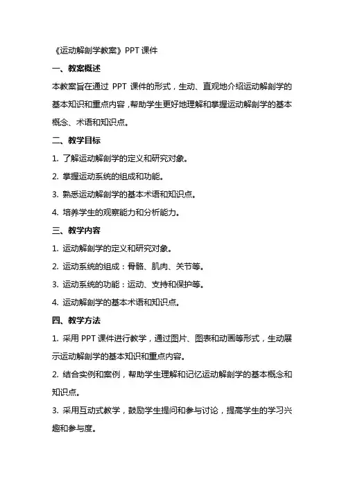 《运动解剖学教案》课件