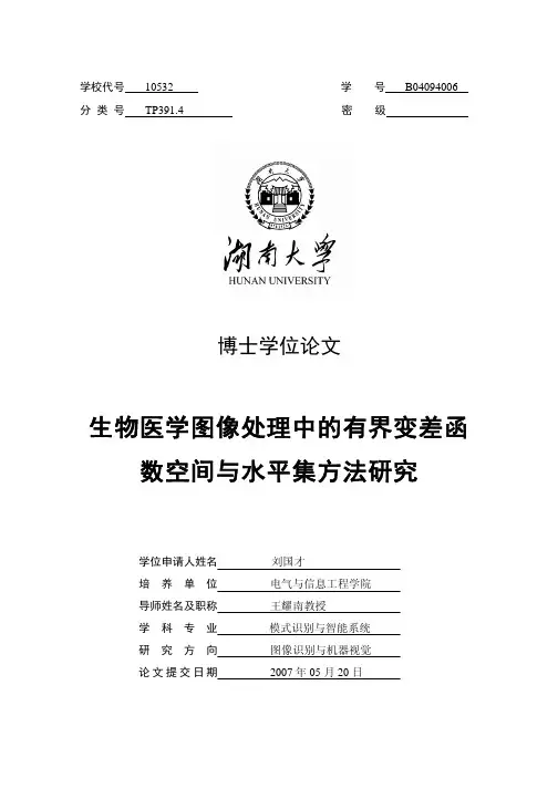 生物医学图像处理中的有界变差函数空间与水平集理论研究