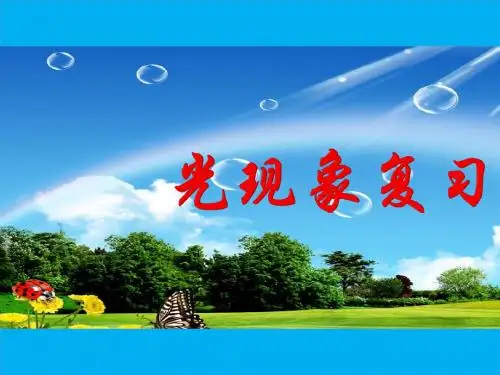 光现象   复习  课件(按知识点分类典型例题)(共28张PPT)
