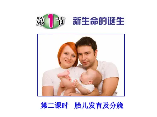 1.1新生命的诞生(第2课时)(PPT课件(初中科学)20张)