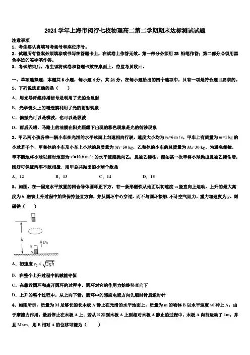 2024学年上海市闵行七校物理高二第二学期期末达标测试试题(含解析)