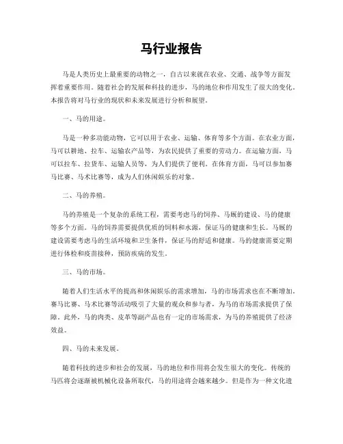 马行业报告