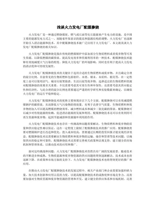 浅谈火力发电厂配煤掺烧