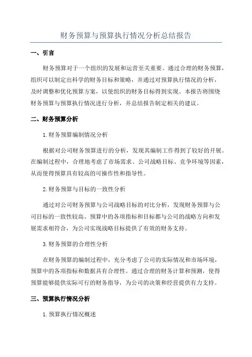 财务预算与预算执行情况分析总结报告