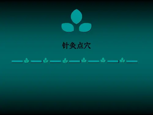 针灸点穴PPT课件