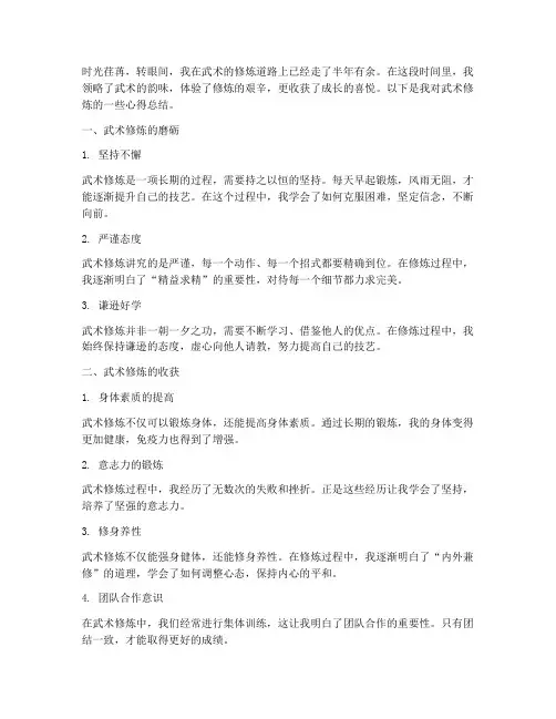 总结武术范文