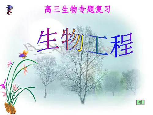 《生物工程》PPT课件