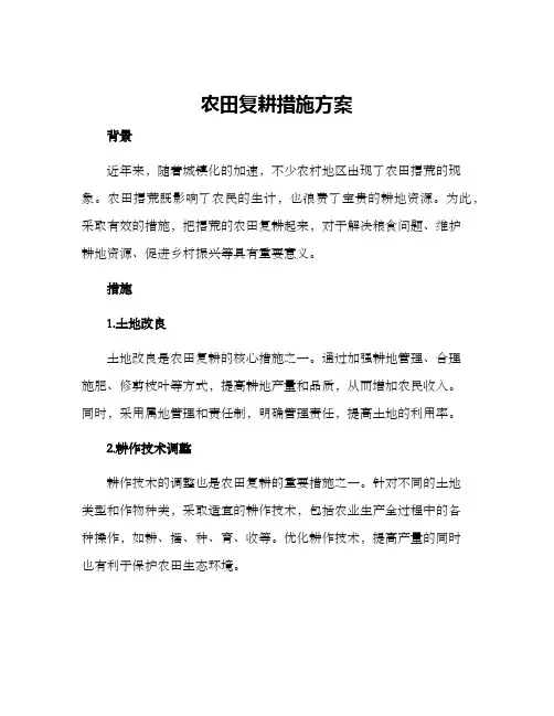 农田复耕措施方案