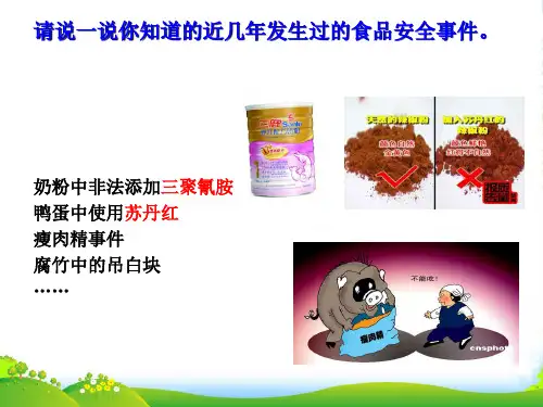 人教版高中化学选修一第二章第一节《合理选择饮食》课件(共28张PPT)