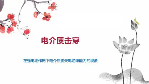 电介质击穿 