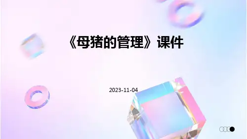《母猪的管理》课件