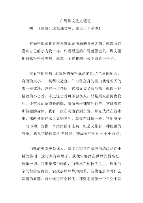 白鹭课文重点笔记