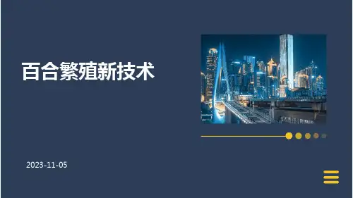 百合繁殖新技术
