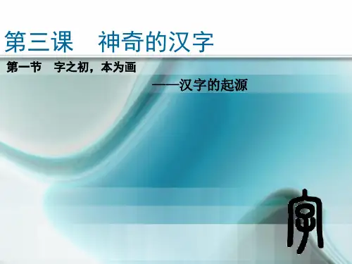 《神奇的汉字》