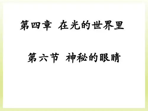 神奇的眼睛  课件沪科版八年级上册物理