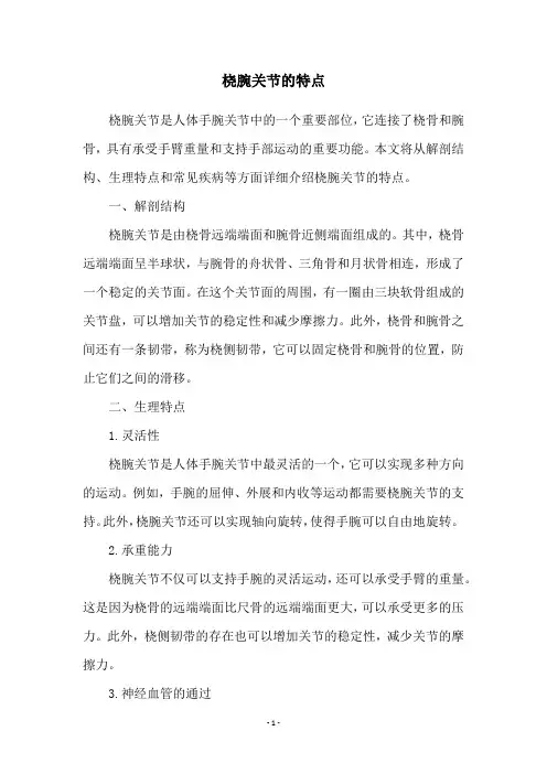 桡腕关节的特点