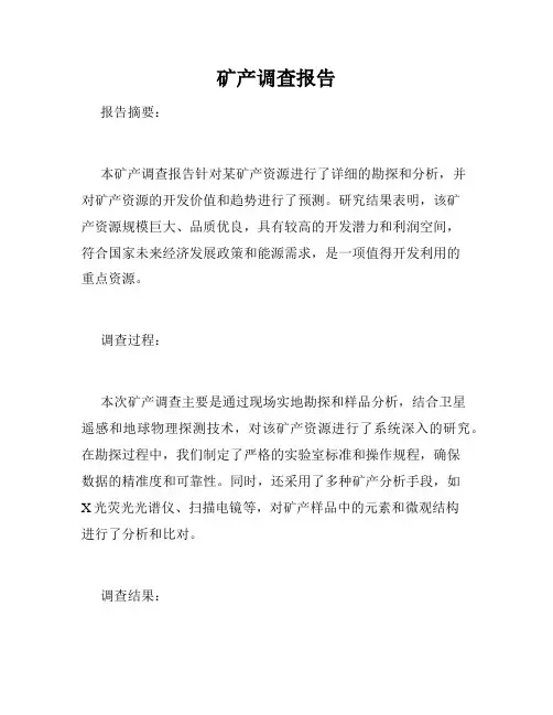 矿产调查报告