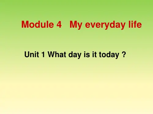 外研版七上英语Starter Module4 Unit1课件