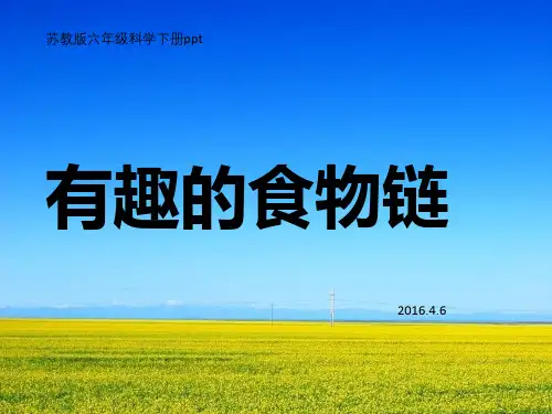 有趣的食物链yuPPT课件