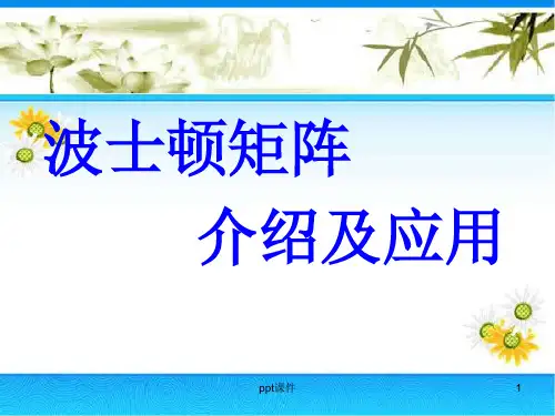 波士顿矩阵分析法  ppt课件