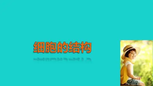 高中生物第二章细胞的结构2.2细胞膜和细胞壁课件浙科版必修1 (1)