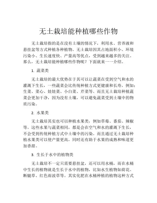 无土栽培能种植哪些作物