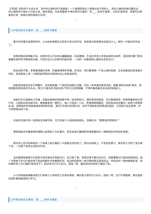 中考优秀作文素材：你____的样子真美