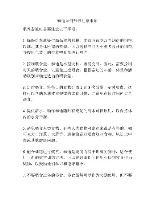 泰迪如何喂养注意事项