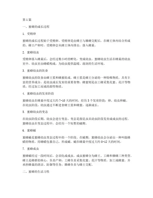 蜜蜂的成长自然笔记摘抄(3篇)