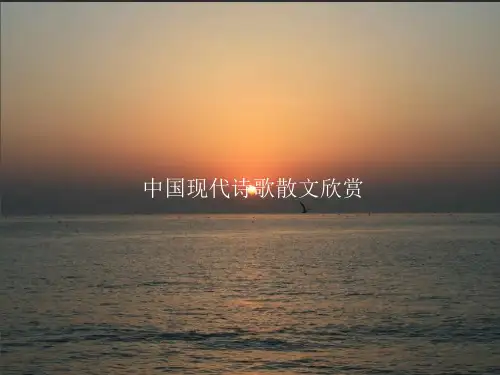 《中国现代诗歌散文欣赏》PPT课件模板