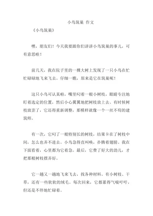 小鸟筑巢 作文