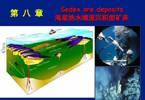 海底喷流沉积型矿床-sedex