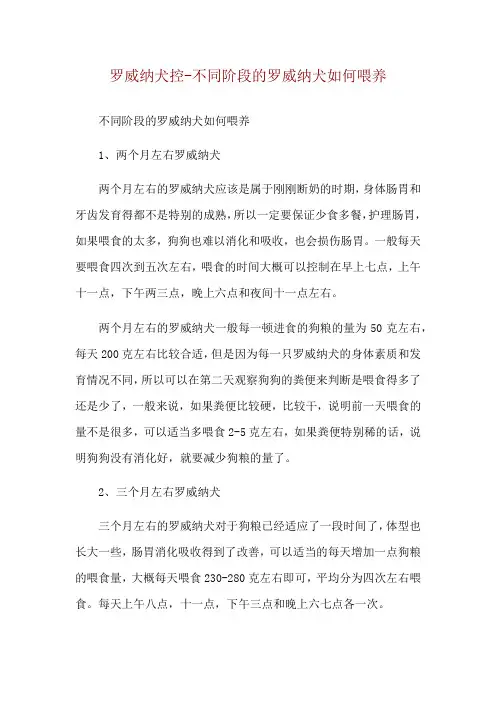 罗威纳犬控-不同阶段的罗威纳犬如何喂养