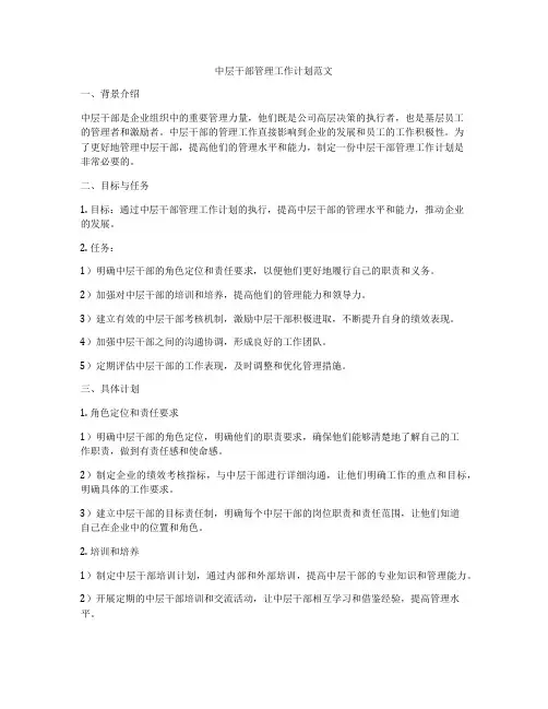 中层干部管理工作计划范文