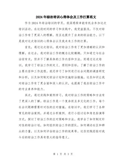 2024年综治培训心得体会及工作打算范文